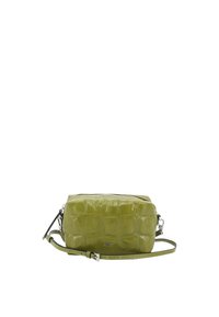 Green faux-crocodile leather handbag with a rectangular shape, silver hardware, a zip closure, and an adjustable strap.