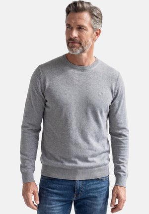 Man with gray hair and beard wearing a light gray crewneck sweater and blue jeans, looking slightly to the right.