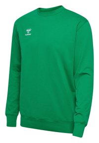 Felpa verde in cotone, con scollo rotondo, maniche lunghe e logo sulla parte superiore sinistra del petto. Tessuto liscio, senza fantasie.