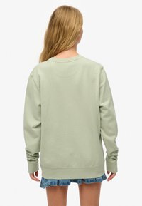 Lichtgroene trui met lange mouwen, ronde hals en geribbelde manchetten. Zachte textuur, ruimvallende pasvorm, met een detail van een naad aan de achterkant. Gecombineerd met een denim rok.