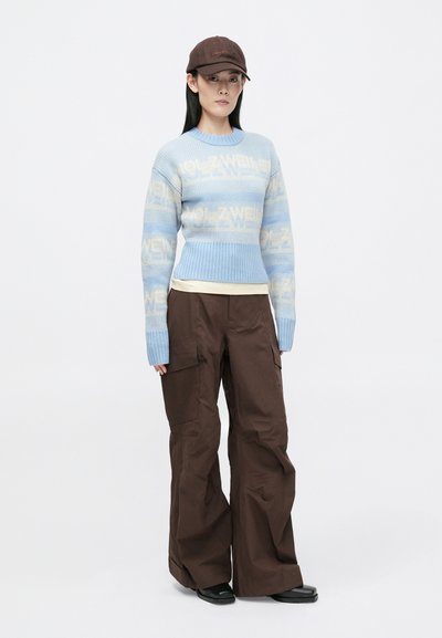 Μπλε ανοιχτό και μπεζ πουλόβερ με ριμπ πλεκτό τελείωμα, συνδυασμένο με καφέ παντελόνι cargo και ένα σκούρο καφέ καπέλο. Μαύρα παπούτσια ολοκληρώνουν την εμφάνιση.