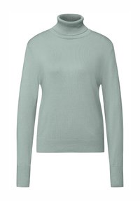 Světlý mintový zelený rolákový svetr vyrobený z měkkého pleteného materiálu. Má dlouhé rukávy, přiléhavý střih a žebrované detaily na límci a lemu.