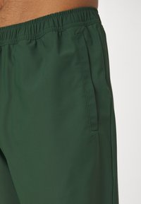 Björn Borg ACE SHORTS - Sportiniai šortai - sycamore
