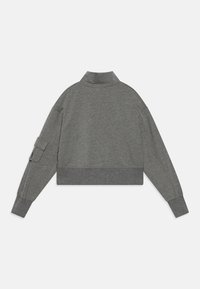 Gray cropped sweatshirt with a high collar, long sleeves, and ribbed cuffs. Features a side pocket on the left sleeve. Soft fabric texture.
