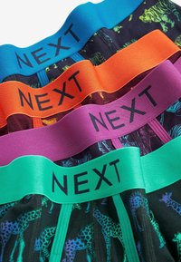 Next PATTERN FOUR PACK - Boxerkalsong - ombre animal