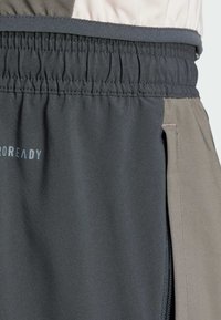Grijze en beige sportshorts met een elastische tailleband, voorzien van een zijzak met rits en een gladde, gestructureerde stof.