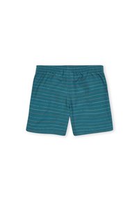 Pantaloni da bagno turchesi con una sottile trama di strisce orizzontali in vari colori pastello. Presentano una vita elastica per il massimo comfort.