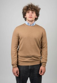 Beige gebreide trui met een ronde hals en geribde manchetten, gedragen over een lichtblauw overhemd met kraag. Hij staat voor een neutrale achtergrond.
