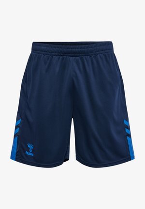 Marineblaue Sportshorts mit elastischem Bund, hellblauen Seitenstreifen, Chevron-Akzenten und kleinem Markenlogo am linken Bein.