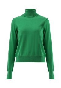 Grüner Rollkragenpullover aus glattem Strickstoff, mit langen Ärmeln und einem taillierten Saum, der ein einfaches, einfarbiges Design zeigt.