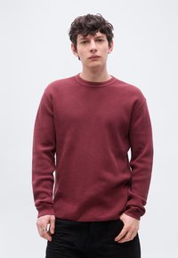 Νεαρός με σγουρά σκούρα μαλλιά, ντυμένος με μακρυμάνικο πουκάμισο βυσσινί με υφή και μαύρο παντελόνι, που στέκεται μπροστά σε απλό φωτεινό φόντο.