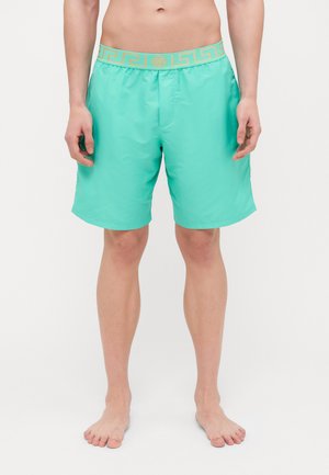 SWIM LONG BOXER NEW LOGO - Short de bain - mint/gold