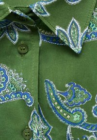 Zelená košile se vzorem paisley v modré a zelené barvě. Má límeček a zapínání na knoflíky, vyrobená z lehké látky.