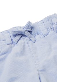 Lichtblauwe corduroy korte broek met een trekkoord in de taille, verticale ribbelstructuur en gestikte details. Geschikt voor casual dragen.