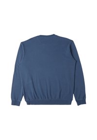 Felpa blu con maniche lunghe, polsini e orlo a costine, colletto tondo semplice. Realizzata in tessuto morbido con una consistenza liscia.