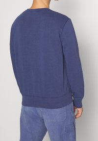 Polo Ralph Lauren Sweatshirt - blue