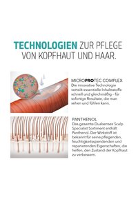 Immagine in miniatura 3