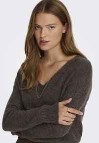 JDY JDYELANORA V NECK - Trui - bracken