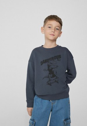 Felpa blu scuro con collo rotondo, decorata con una grafica di un dinosauro nero e la scritta "DANGEROUS REX". Tessuto morbido e vestibilità comoda.