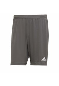 Pantalones cortos deportivos grises, fabricados con tela ligera, con una cinturilla elástica y un logo blanco de Adidas en la parte inferior de la pierna izquierda.