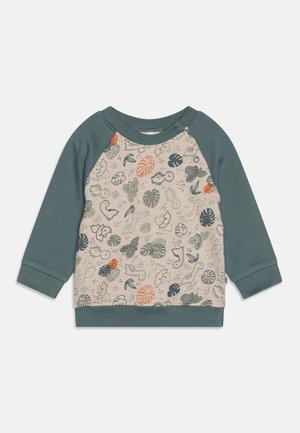 Sudadera de manga larga para niño pequeño con mangas raglán verde apagado y un panel frontal beige impreso con formas de hojas y dinosaurios en naranja y verde.