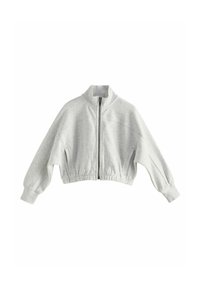 Sweatshirt gris coupé avec un col montant, fermeture �éclair frontale et poignets élastiques. Fabriqué en tissu doux avec une surface légèrement texturée.