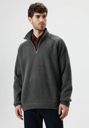 STANDING COLLAR - Sweatshirt - grey