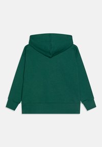 Patagonia HOODY UNISEX - Sportinis megztinis - conifer green
