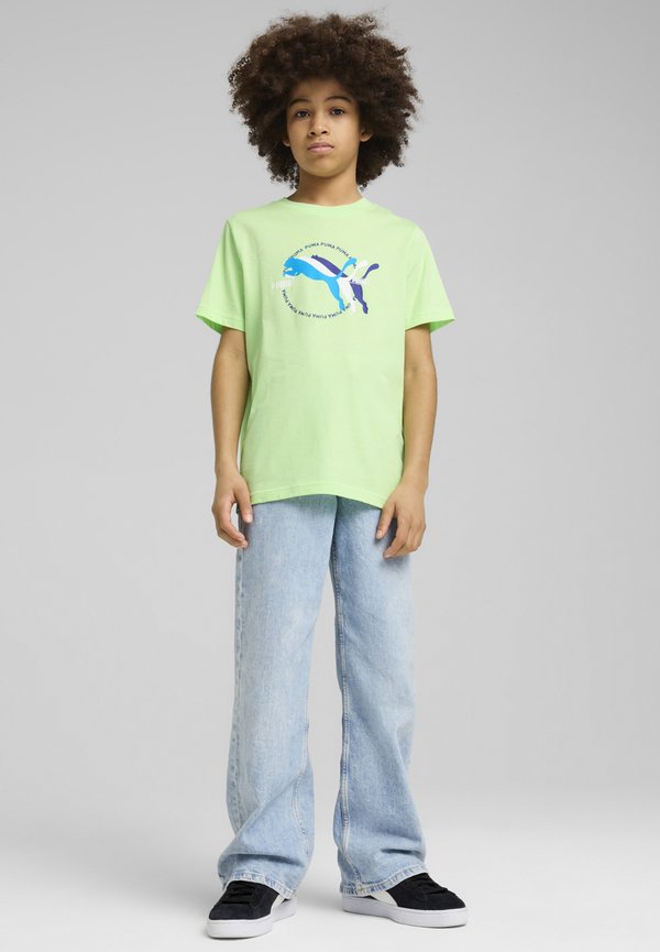 GRAPHICS - T-Shirt print - spring fern