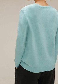 Hellblaues Sweatshirt aus weichem Material; mit einem runden Ausschnitt, geripptem Saum und langen Ärmeln. Die Rückansicht zeigt die glatte Textur und Passform.