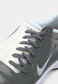 Shoe atlético sintético cinza com um acabamento suave, atacadores com padrão de pontos, detalhes em azul claro e o logótipo prateado da Nike.