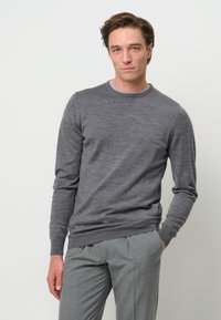 PROFUOMO THE MERINO CREW-NECK - Trui - grey