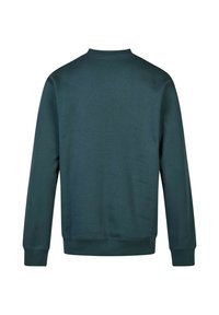 Dunkelgrüner Pullover, Rundhalsausschnitt, lange Ärmel, ribbelte Bündchen und Saum, glatte Textur, schlichtes Design, keine sichtbaren Logos oder Muster.