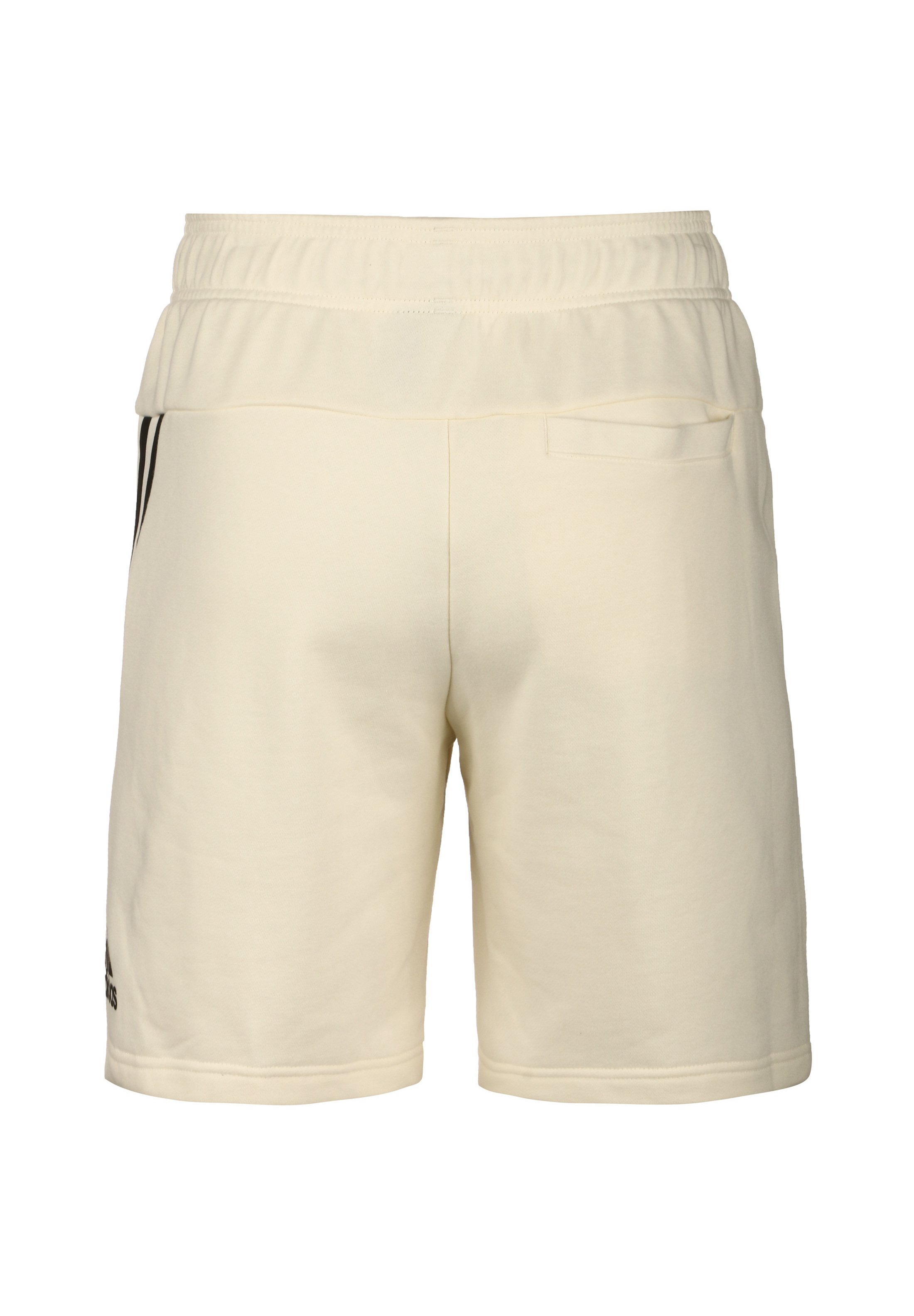 adidas Performance Shorts - cream 