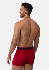 Boxer da uomo rossi in cotone con una cintura elastica blu, caratterizzati da una vestibilità aderente e una texture liscia, visti da dietro.