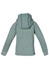 Grågrøn hoodie med en stor hætte, ribbede manchetter og kontrasterende blå syninger. Har et svensk flag detaljeret på ryggen.