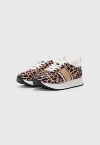 Anna Field Trainers - leo