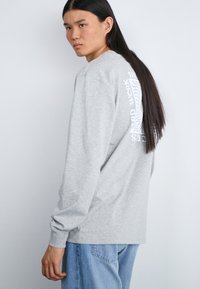 Dickies OATFIELD TEE - Pikkade varrukatega topp - grey