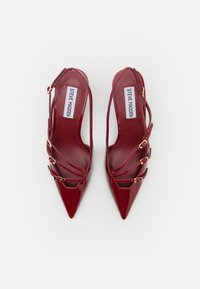Steve Madden LIANA - Klasické lodičky na opätku - wine