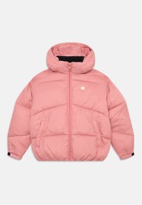 Selected, brandied apricot