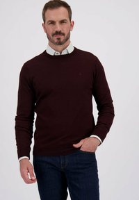 Bourgondische trui met een ronde hals, gemaakt van gebreid materiaal, gelaagd over een wit geblokt overhemd met zichtbare mouwen, gecombineerd met donkere jeans.