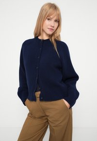 Sieviete ar taisniem gaišiem matiem, vilkusi tumši zilu pogājamu džemperi un brūnas bikses, ar rokām kabatās uz balta fona.