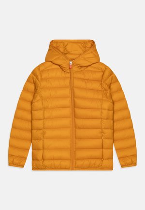 DONY - Veste mi-saison - beak yellow