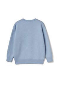 Maglione azzurro chiaro lavorato a maglia con scollo rotondo, orlo e polsini a costine. Presenta una texture liscia e maniche inserite. Vista posteriore soltanto.