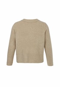 Beige langemouwen trui met een eenvoudig, collelloos ontwerp en een rechte zoom, vanuit de achterkant weergegeven op een witte achtergrond.