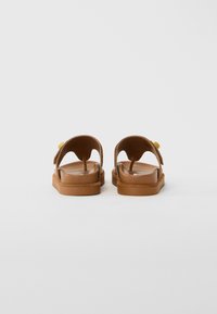 Brown leather thong sandals with ankle straps and gold buckle details, shown from the back on a plain white background.