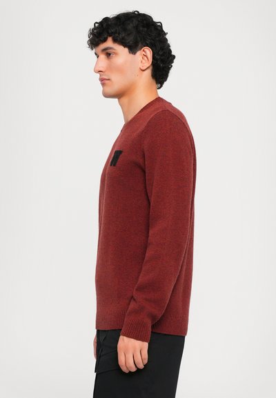 Uomo con capelli ricci e scuri, che indossa un maglione lavorato a maglia rosso ruggine e pantaloni neri, rivolto a sinistra su uno sfondo chiaro e semplice.