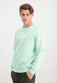 Felpa verde menta con scollo rotondo, polsini a costine e un logo bianco con la scritta "ALPHA INDUSTRIES" sul davanti. Tessuto morbido.