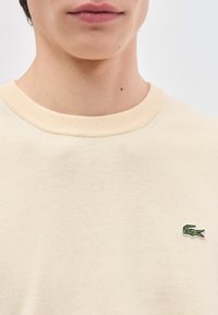Gros plan sur le bas du visage et le cou d'une personne portant un pull beige à col rond avec un petit logo crocodile vert sur la poitrine.