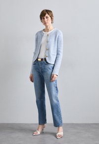 Vanessa Bruno DORINA - Kardigan - neptune